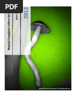 Transformacion De La Conciencia Cerebro Homo Sapiens - 