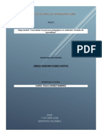 Mapa Mental "Caracterizar Los Procesos Pedagógicos en Ambientes Virtuales de Aprendizaje"