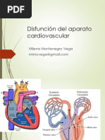 2. Cardiovascular (1)