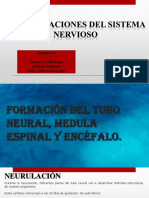 Malformaciones Del Sistema Nervioso