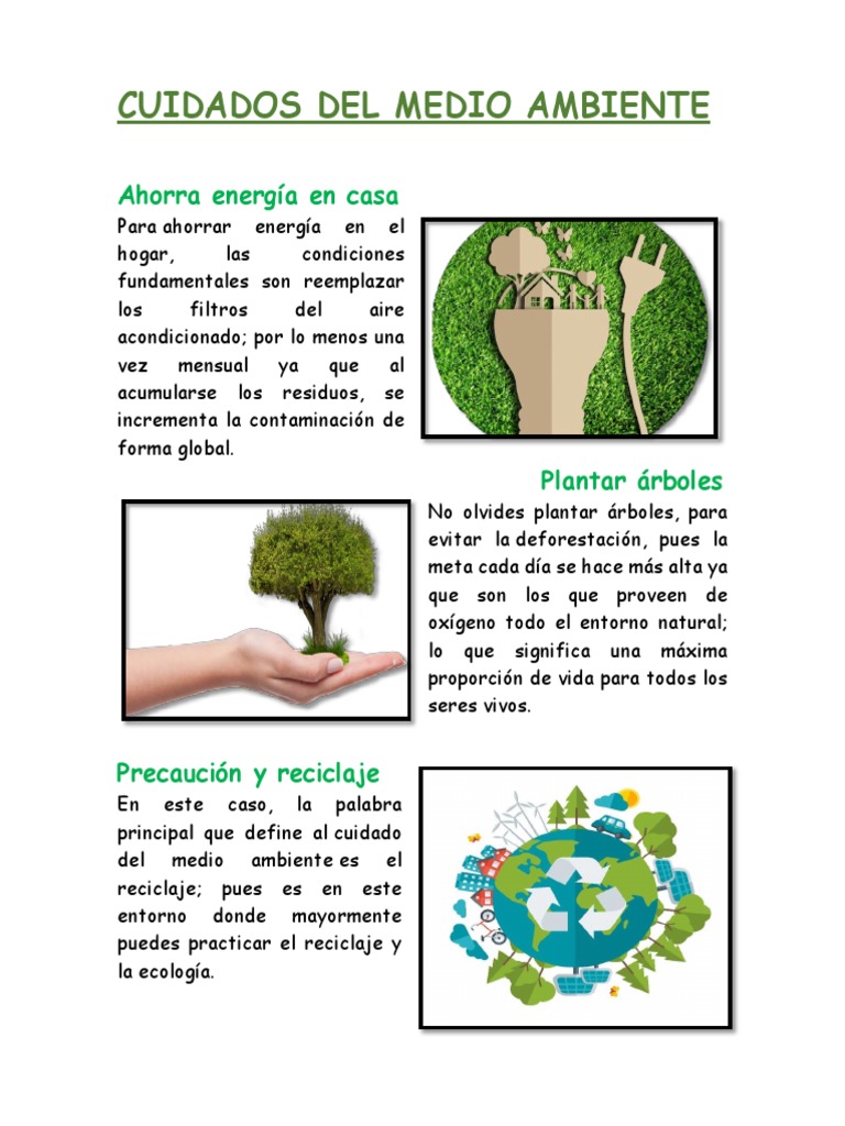 Cuidados esenciales del medio ambiente | PDF | Hogar, jardinería y ...