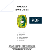 MAKALAH Evolusi