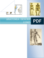 Anatomía Descriptiva y Comparada