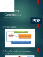 Camaras Cardiacas