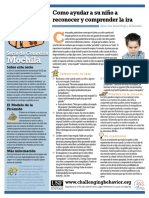 IRA, Reconocer y Comprender La PDF