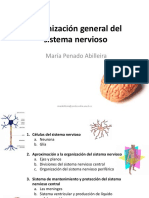 Tema 6. Organización General Del Sistema Nervioso PDF