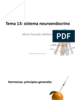 Tema 13. Sistema Neuroendocrino PDF