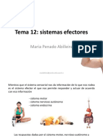 Tema 12. Sistemas Efectores PDF