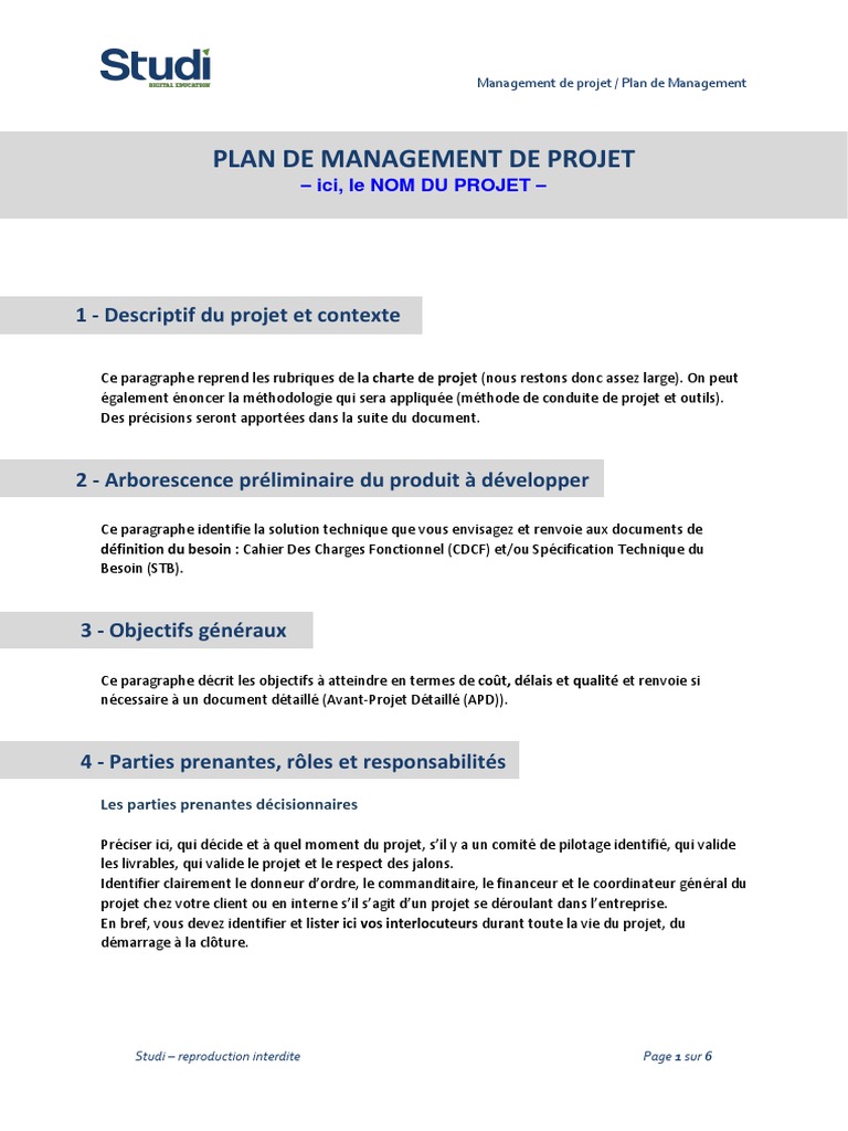 Plan MNGT Projet | PDF | Gestion de projet | Gestion des risques