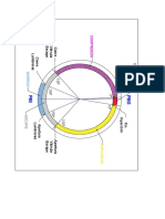 Motor diagrama circular.pdf