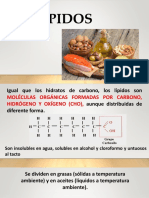 Lípidos, proteínas, vitaminas y ácidos nucleicos