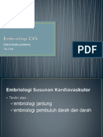 Embriologi CVS