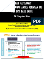 Replikasi FMM Kecamatan Blitar 2015