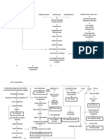 LP CA Sinonasal