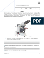 Avaliação sumativa sobre microscopia e classificação biológica