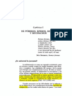 1 - Feixa, de Púberes, Efebos, Mozos, Muchachos - Artigo