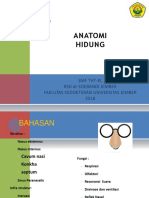 Anatomi Dan Fisiologi Hidung