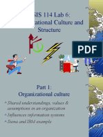 CSIS 114 Lab 6: Organizational Culture and Structure