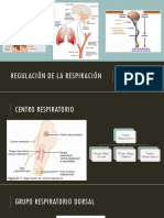 Regulacion de La Ventilacion