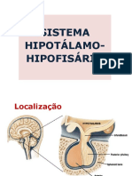 Hipotálamo e Hipófise 1