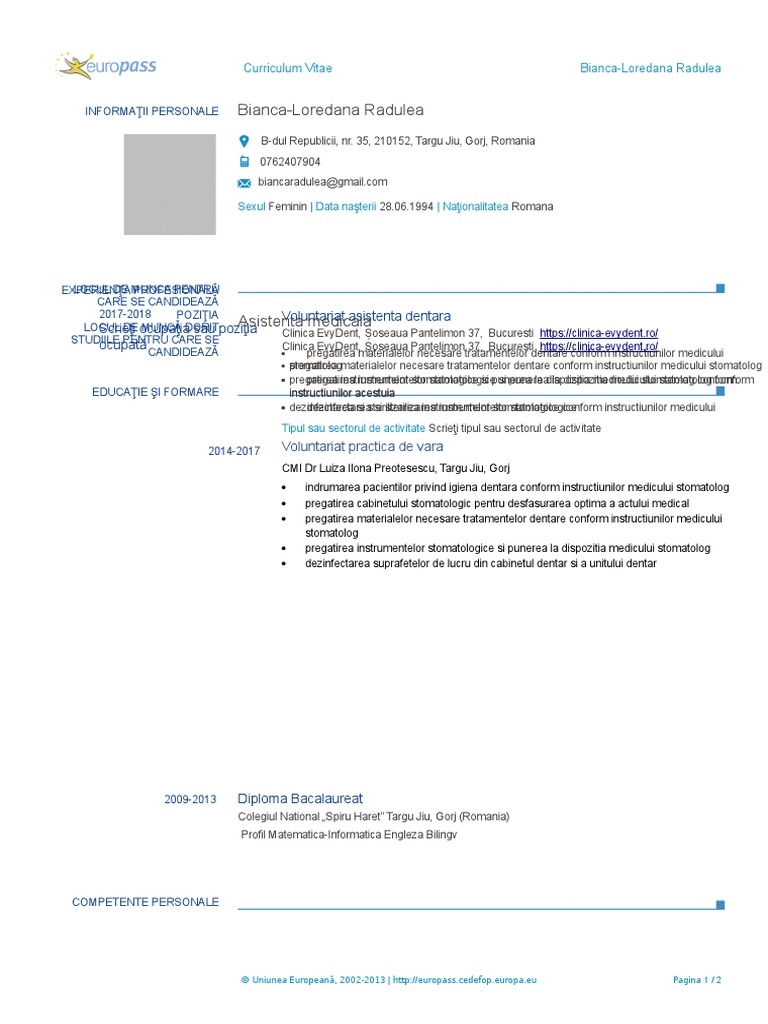 Noul-Model CV RO | PDF