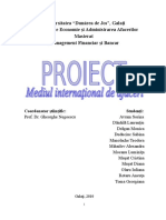 Anexa 35 Proiect M.I.A. - Multiplicarea Banilor (MFB - Rara Avis Team)