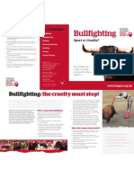 Bullfighting Leaflet