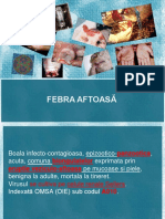 lab_5_febra_aftoasa.ppt