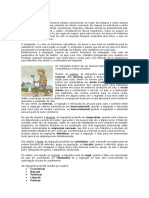 STC-UC6-DR4-Fluxos Migratórios-Juliana.doc