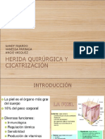 Cicatrizacion y Heridas Cirugia