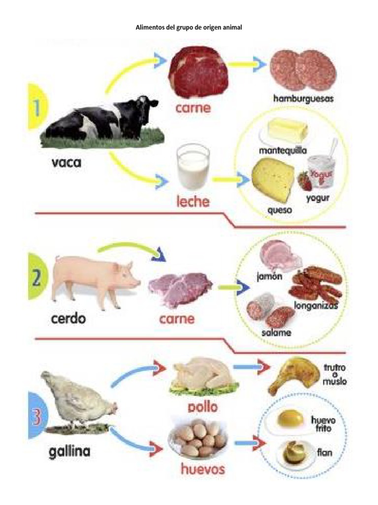 Alimentos Del Grupo de Origen Animal | PDF | Plantas comestibles