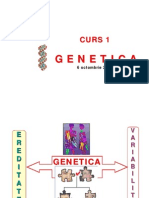 Curs 1 - MD