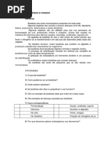 Bactérias e Fungos