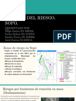 Gestion Del Riesgo PDF