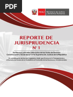 reporte de jurisprudencia