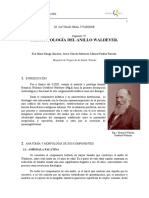 075 - FISIOPATOLOGÍA DEL ANILLO WALDEYER.pdf