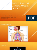 Enfermedad Pulmonar Obstructiva Crónica 53N
