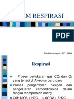 Sistem Respirasi