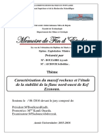 Caractérisation Du Massif Rocheux Et L'étude de La Stabilité de La Flanc Nord-Ouest de Kef Essnoun.