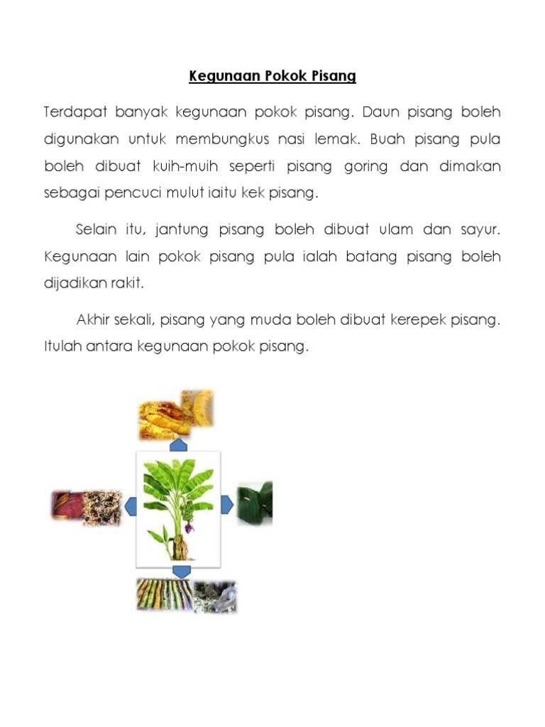 Kegunaan Pokok Pisang Pdf