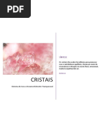Manual Cristais