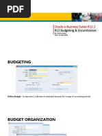 Oracle Budgeting and Ledger Management | PDF | Computing | Software