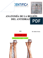 Anat Antebrazo 2018