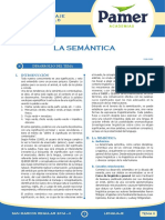 Lenguaje Pamer PDF