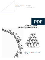 Struct Org Rom.pdf