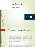 Tanah Gambut Pegunungan