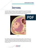 Mod403 Tumor Fibroso PDF