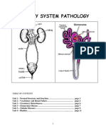 Urinary System Pathology PDF