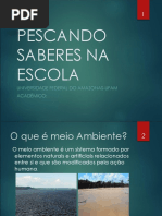 Pescando Saberes