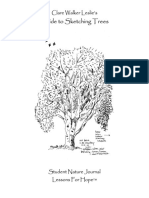 BV2_guide_to_tree_sketching.pdf